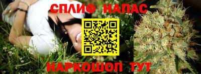 mdma Краснознаменск