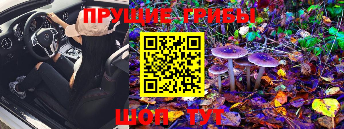 Псилоцибиновые грибы Cubensis  Галлюциногенные грибы MAGIC MUSHROOMS  Благовещенск  Вход с VPN 