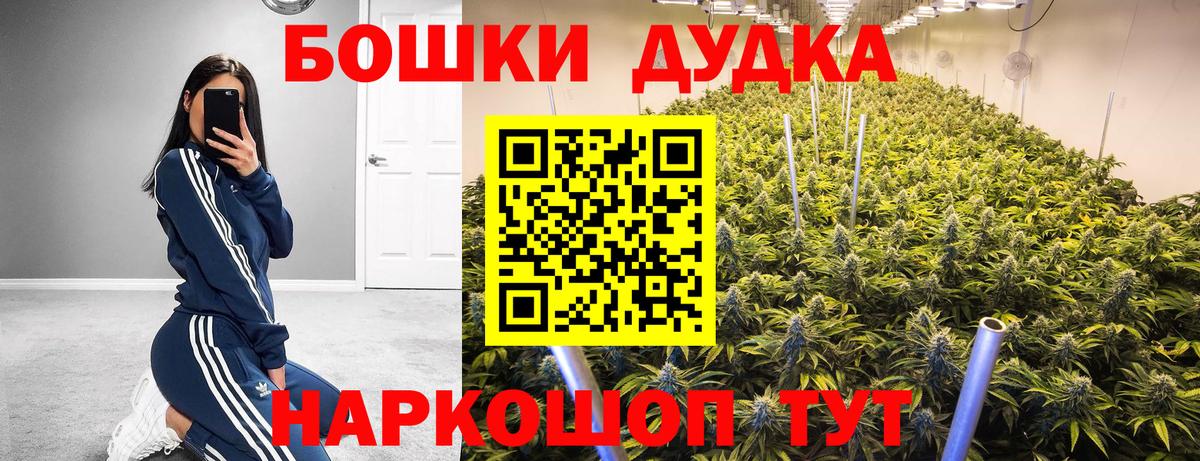 Благовещенск  Конопля сатива  Конопля план  Вход с VPN  Бошки Шишки сатива 